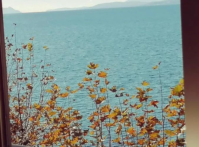 شقة Grand إِستيبونا